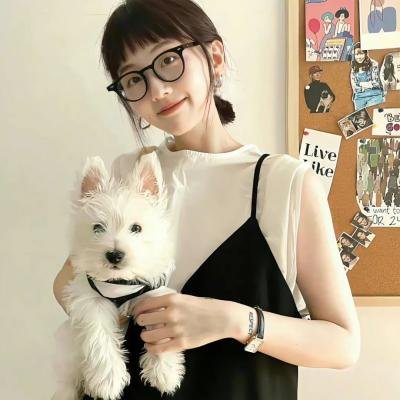 键盘侠