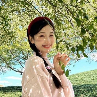 长颈鹿扎拉法